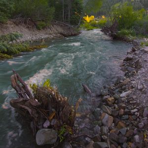 Teaser for Colorado - 2 -  Mary E Campground