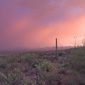 Teaser for Rainbows After Lightning