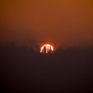 Teaser for Sequoia National Forest Fire