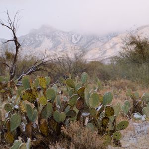 Teaser for Ice In The Desert