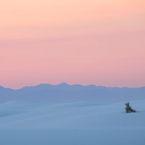 Teaser for White Sands - Abstracts