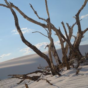Teaser for White Sands - 'Not Quites'
