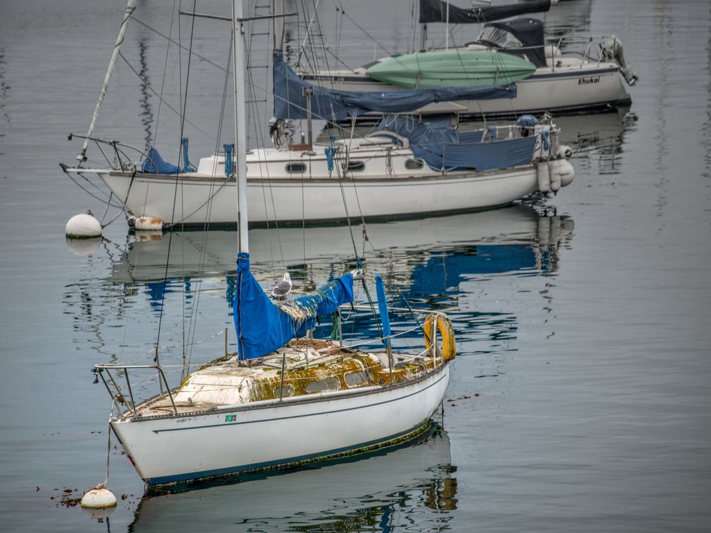 An Overcast Monterey